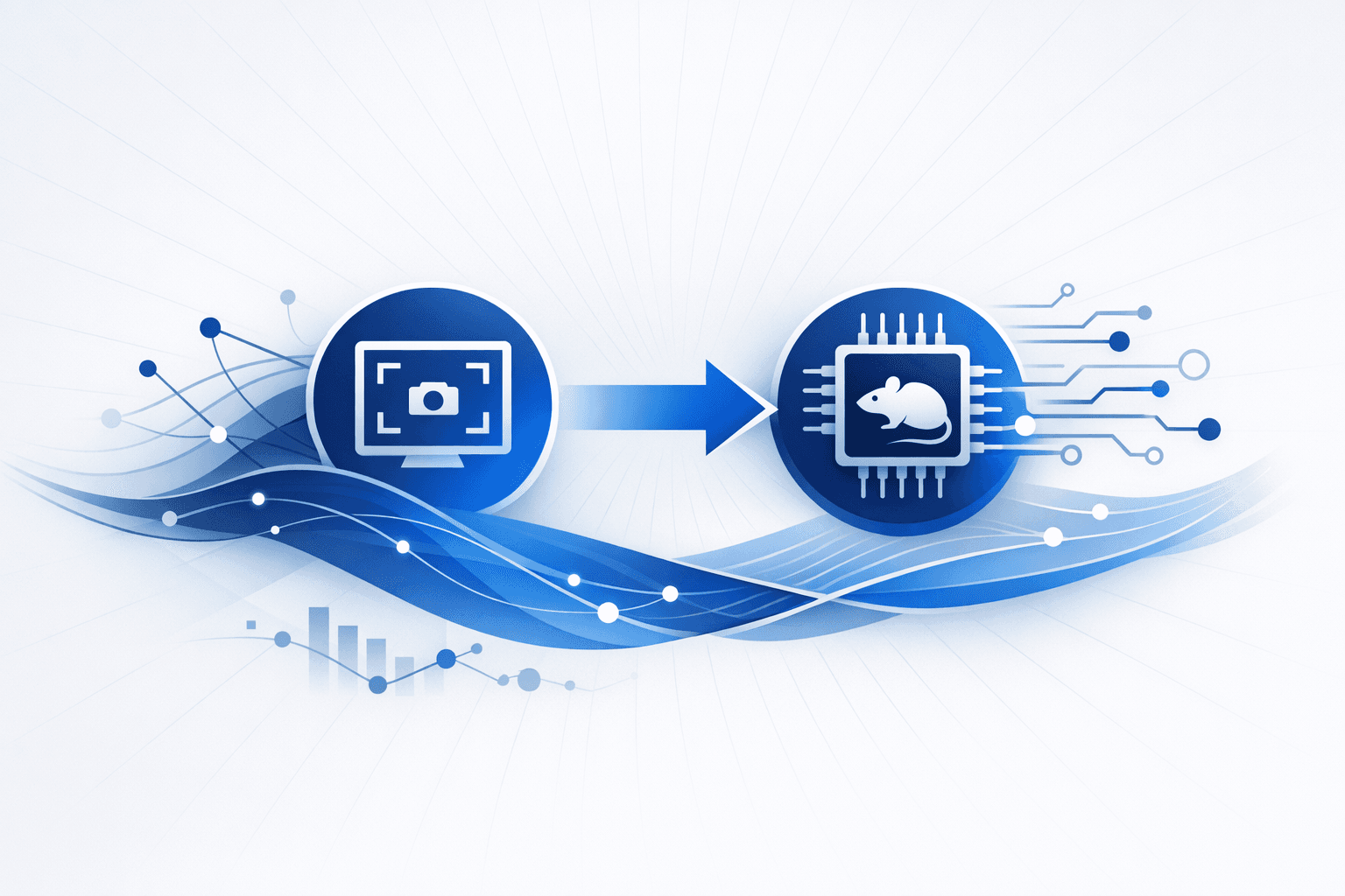 Amadey Expands as a Malware Loader With Screen Capture and RAT Delivery