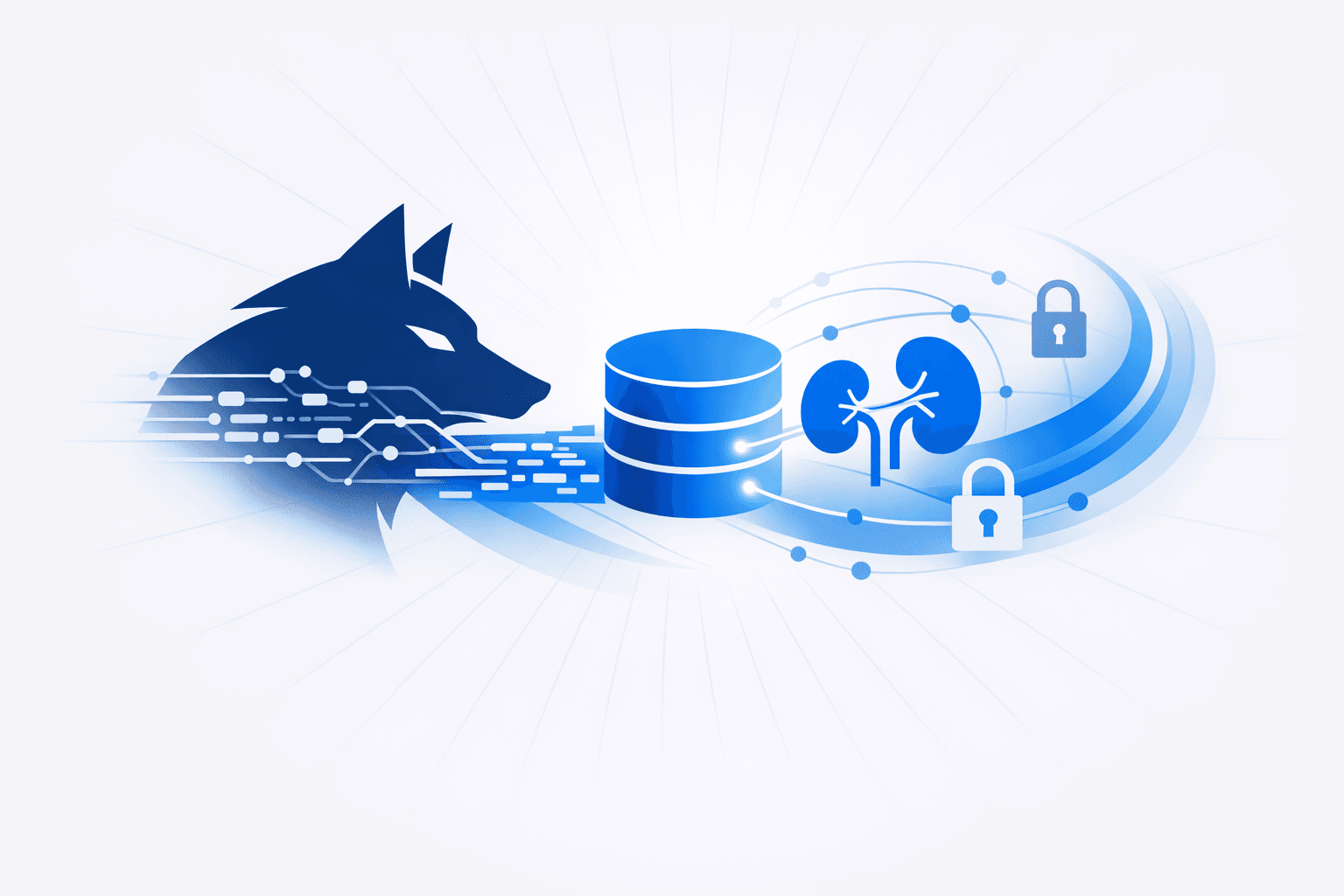 DireWolf Claims Theft of National Kidney Registry Transplant Records