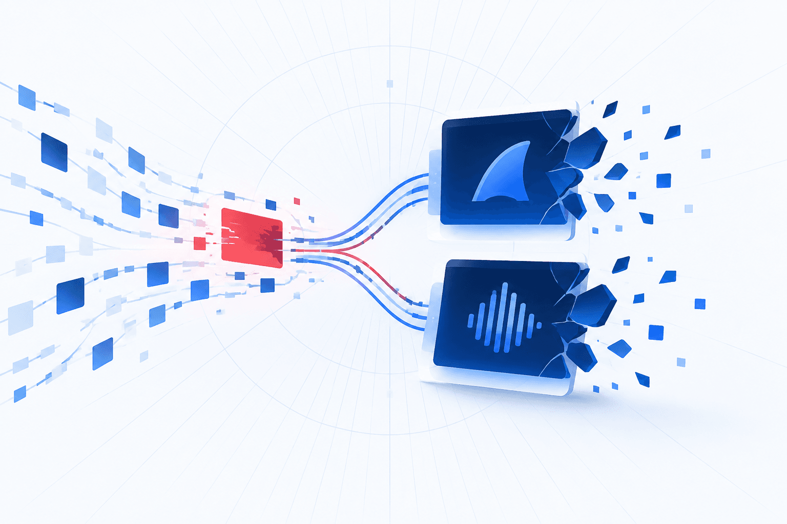 Malformed RTSP Traffic Crashes Wireshark and TShark